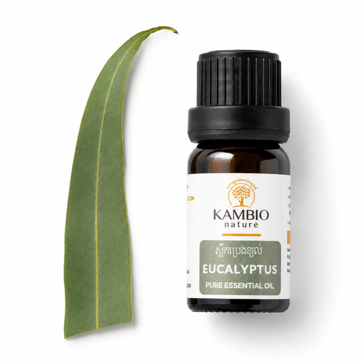Eucalyptus / essential oil