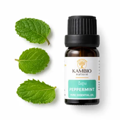 Peppermint / ប្រេងសំខាន់