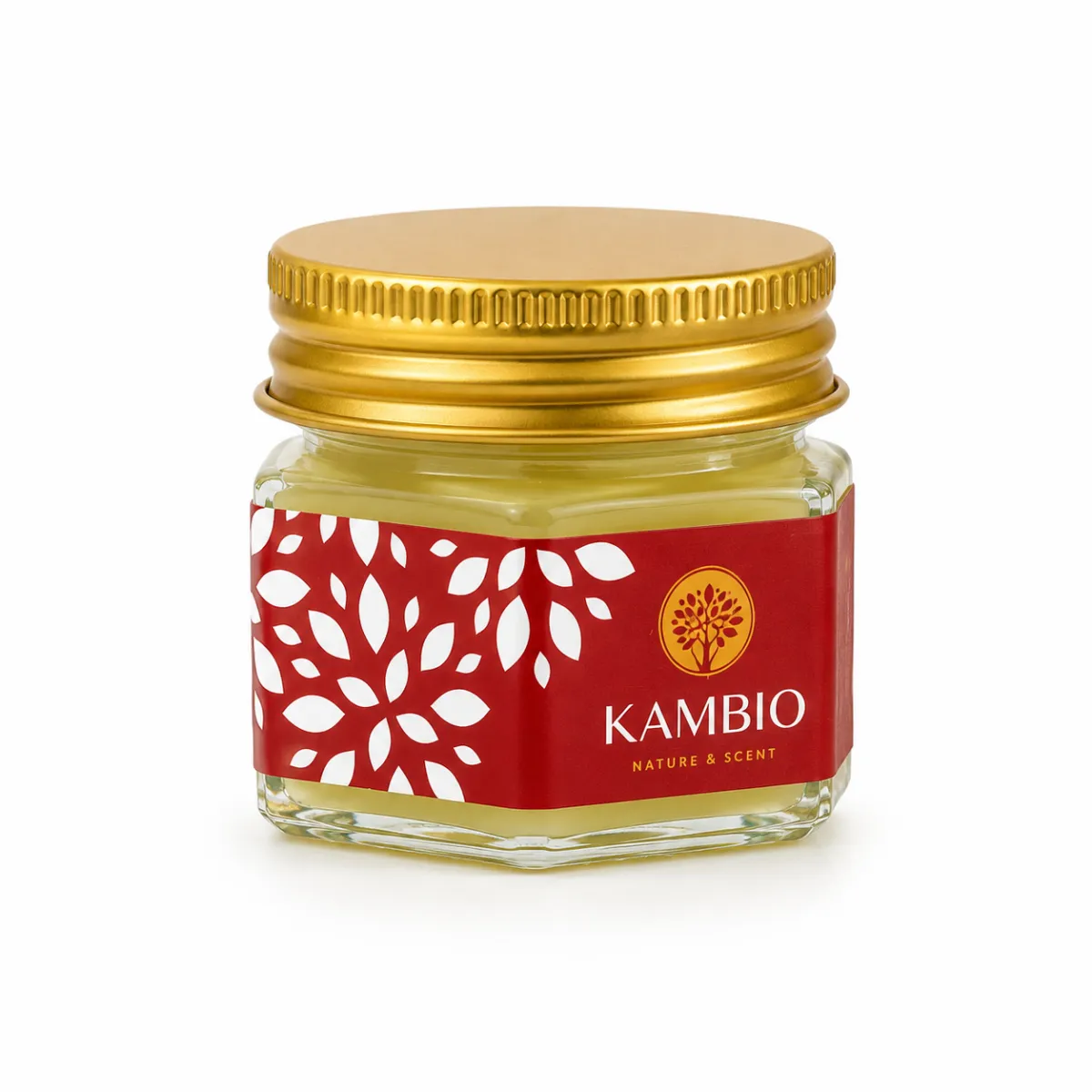 បាមព្យាបាល