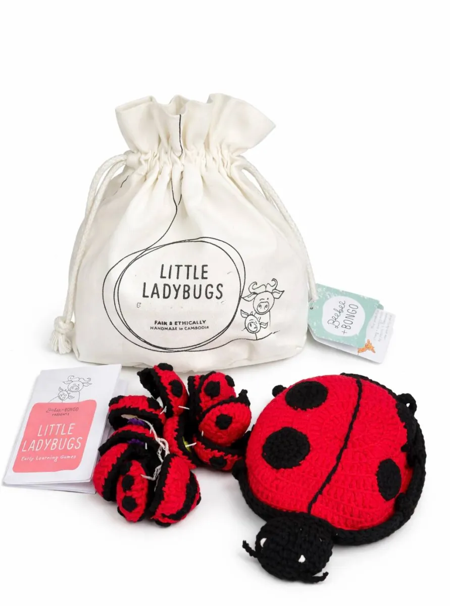Ladybug game